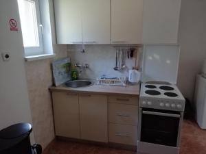 a small kitchen with a stove and a sink at Apartman Adam in Rakovica +28 photos