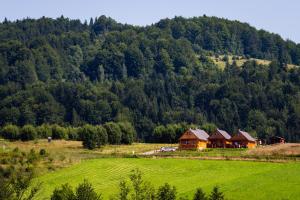 a house in a field in front of a mountain at Domki u Bronki in Grywałd