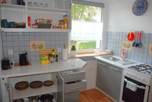Kuchyň nebo kuchyňský kout v ubytování Apartament Kraszewskiego