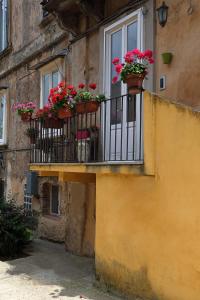 The building in which a panziókat is located