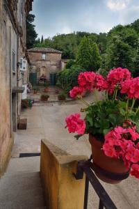 A garden outside Bed and Breakfast di Francia