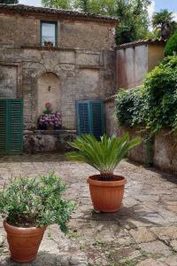 A garden outside Bed and Breakfast di Francia