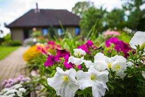 Zahrada ubytování Guests house "Like Home"
