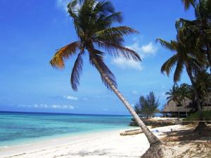 Photo de la galerie de l'établissement Karamba Eco Boutique Hotel, à Kizimkazi 123 autres photos