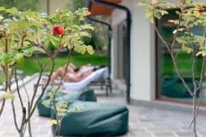Zahrada ubytování Hotel El Paster