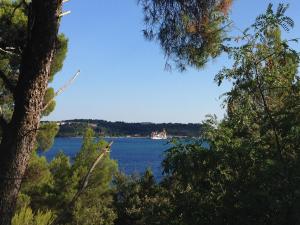 a boat on a large body of water with trees at Apartments Villa Laura in Pula