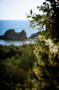 a view of a beach with trees and the ocean at Fotini's Apartments - Pelekas Beach in Pelekas