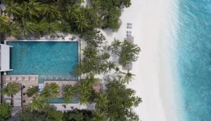 Bazén v ubytování Vakkaru Maldives - 30 percent off on seaplane transfers for stays until 19 Dec 2025 nebo v jeho okolí