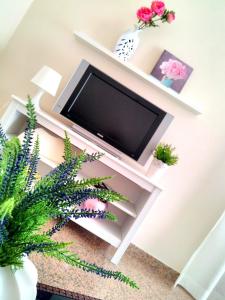 sala de estar con TV de pantalla plana en la pared en B&B L'angolo fiorito, en Bernalda