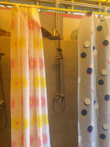 e bagno con doccia e tenda da doccia. di Casa Roz a Cluj-Napoca