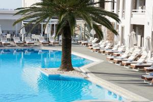 a palm tree sitting next to a pool with lounge chairs at Mythos Palace Resort & Spa in Georgioupolis