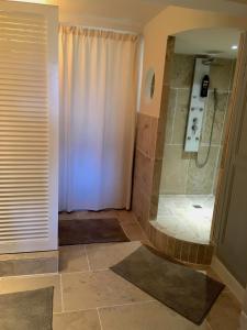 a bathroom with a shower with a shower curtain at Les Chapeliers in Claviers