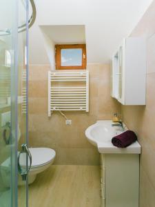 TagyonにあるTagyon Birtok Panoráma Apartmanのバスルーム(洗面台、トイレ、シャワー付)