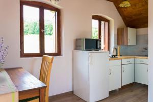 a kitchen with a refrigerator with a microwave on top at Tagyon Birtok Panoráma Apartman in Tagyon