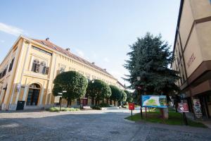 シゲトバールにあるHotel Oroszlán Szigetvárの大きな建物前の石畳の通り