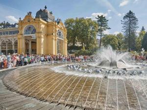 Fotografie z fotogalerie ubytování Apartman Ludmila v destinaci Mariánské Lázně