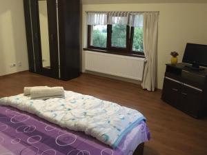 a bedroom with a bed and a dresser and a television at Casa in zona linistita, Campia Turzii in Cîmpia Turzii
