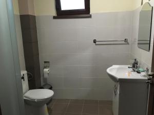 a bathroom with a toilet and a sink at Casa in zona linistita, Campia Turzii in Cîmpia Turzii +14 photos