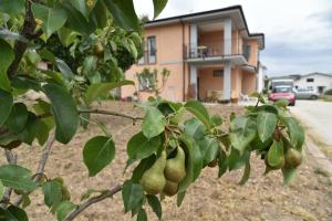 Zahrada ubytování Natour l'Ostello per i camminatori