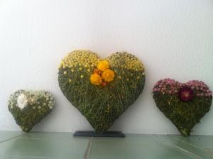 Fotografie z fotogalerie ubytování Pension und Apartment Edelweiß v destinaci Heiligenblut