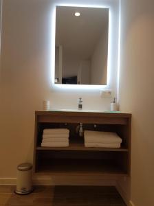 ミッデルケルケにあるVilla Novaのバスルーム(洗面台、鏡付)