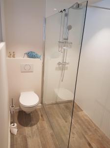 ミッデルケルケにあるVilla Novaのバスルーム(トイレ、ガラス張りのシャワー付)
