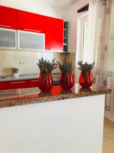 four red vases sitting on a counter in a kitchen at Sea view Apartment, Todorovic in Kotor