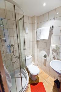 a bathroom with a toilet and a shower and a sink at Hostel Malinowski City in Gliwice