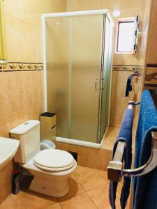 e bagno con servizi igienici e doccia in vetro. di Sea view Apartment, Todorovic a Kotor (Cattaro)