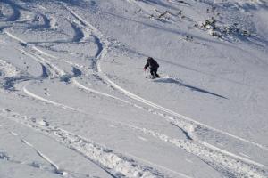Fotografie z fotogalerie ubytování Pension Edelweiss Top21 v Gosau