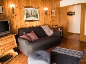 uma sala de estar com um sofá e uma televisão em La finestra sulle Dolomiti - The Window to the Dolomites em Fiera di Primiero