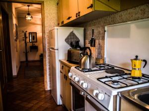 a kitchen with a stove and a white refrigerator at La finestra sulle Dolomiti - The Window to the Dolomites in Fiera di Primiero