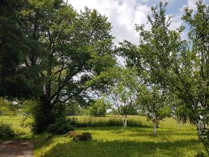 un campo con árboles en un campo con césped verde en House Petra, en Rakovica