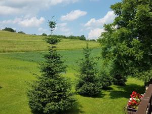 two christmas trees in the middle of a field at House Petra in Rakovica