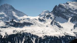 a snow covered mountain with trees in front of it at Sportchalet Mürren in Mürren