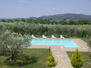 basen z leżakami w ogrodzie w obiekcie Agriturismo Gabellette w mieście Montefalco