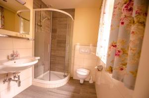 ein Bad mit einer Dusche, einem WC und einem Waschbecken in der Unterkunft Hotel Wintergarten in Schladming