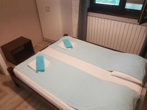 Postelja oz. postelje v sobi nastanitve Apartmani Simić Valjevo
