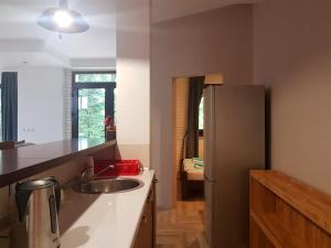 Kuhinja oz. manjša kuhinja v nastanitvi Apartmani Simić Valjevo