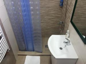 Kopalnica v nastanitvi Apartmani Simić Valjevo