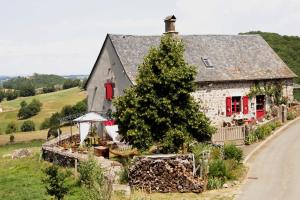 an old house with a tree in front of it at Chez Marraine in Sauvat
