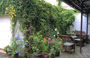 Vonkajšia záhrada v ubytovaní Apartment & Room Renee