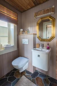 La salle de bains est pourvue de toilettes, d'un lavabo et d'un miroir. dans l'établissement Mini Apartment Sakrisøy, à Reine