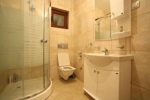 La salle de bains est pourvue de toilettes, d'un lavabo et d'une douche. dans l'établissement Family Apartments, à Žabljak