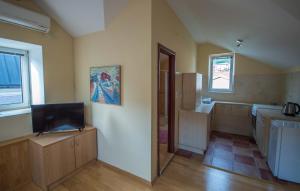 Kuchyň nebo kuchyňský kout v ubytování Apartments Radimir