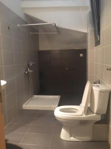 a bathroom with a toilet and a bath tub at Il Mondo Apartments in Stavros +25 photos