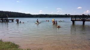 Príroda v okolí privátu