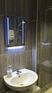een badkamer met een wastafel en een spiegel bij The Annex, Fruit and Honey Farm in Bridgwater