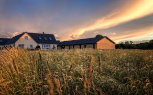 a house in the middle of a field of grass at Bornholm Panorama Apartments in Svaneke