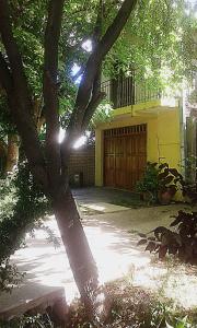 un árbol frente a una casa con garaje en Departamento el Rosedal en San Rafael